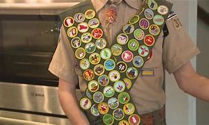 Image result for Scouts Honoroggy