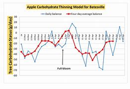 Image result for Apple Carbohydrate