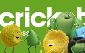 Image result for Cricket Wireless Team