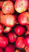 Image result for Organic Apple Producer