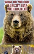 Image result for Funny Bear Thread Memes