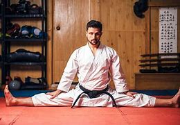 Image result for Martial Arts Styles