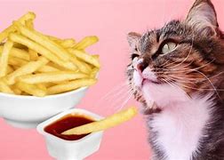 Image result for Dripped Out French Fry Cat