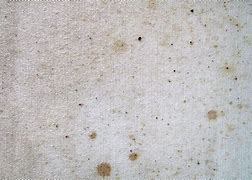 Image result for Dirty Canvas Texture