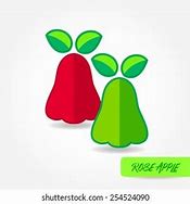 Image result for Rose Apple Vector Stock