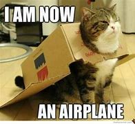 Image result for Business Cat Meme