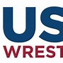 Image result for USA Beach Wrestling Logo