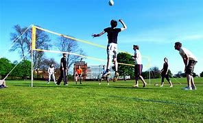 Image result for Backyard Volleyball