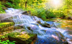 Image result for Calming Sounds of Nature