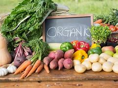 Image result for Organic Farm Class HD
