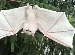 Image result for White Plastic Toy Bat