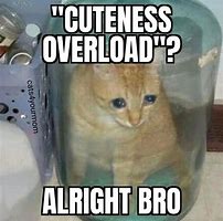 Image result for LeBron James Cuteness Overload Meme