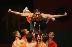 Image result for JW Chinese Bodybuilding Kung Fu Fighter