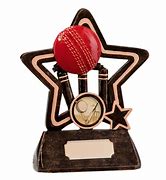 Image result for Resin Star Cricket Trophy