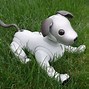 Image result for Aibo Robot Dog Second Handed