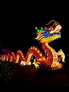 Image result for Chinese New Year Infographic