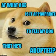 Image result for Adopted Meme