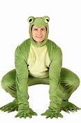 Image result for Frog in Ond
