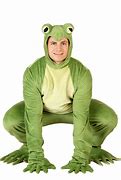 Image result for Anime Frog Costume