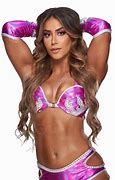 Image result for WWE Aliya Pink Outfit