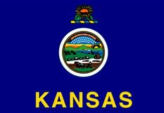 Image result for Kansas State Seal Flag