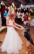 Image result for Wedding Puns Dog