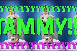 Image result for Funny Happy Birthday Tammy Memes