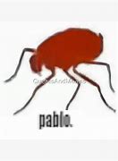 Image result for Pablo Bug Meme