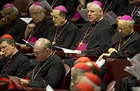 Image result for Cardinals Bishops Priests Pope