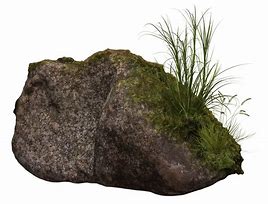 Image result for Vecchia Moss Rock