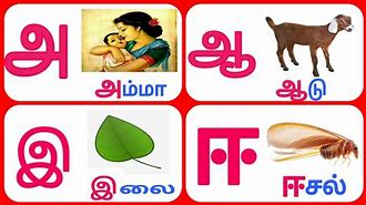 Image result for Amma Tamil Alphabet