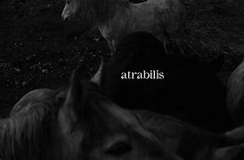 Image result for ztrabilis