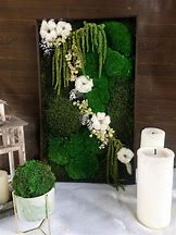 Image result for Hanging Moss Decor