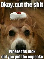 Image result for Cupcake Animal Meme