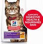 Image result for What to Feed a Cat with Diabetes