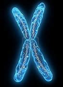 Image result for chromosom_21