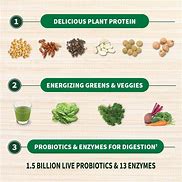 Image result for Garden of Life Protein Powder Plus Greens