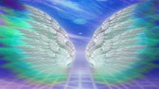 Image result for Anime White Wings