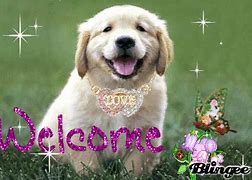 Image result for You Are Welcome Dog