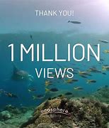Image result for 1 Million Caviar iPhone