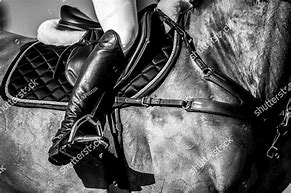 Image result for Horse Jumping Competition