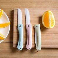 Image result for Best Pocket Knife for Fruit