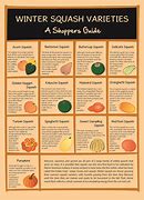 Image result for Winter Squash Chart