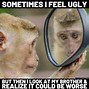 Image result for Nervous Monkey Meme