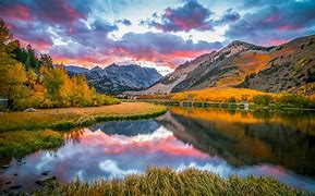 Image result for Northern California Fall Colors