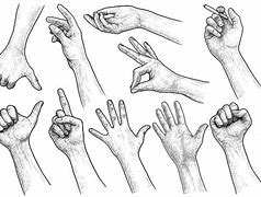 Image result for Illustrators Gestures