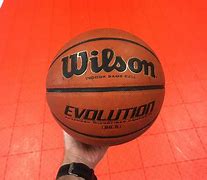 Image result for Wilson Evolution Basketball 29.5