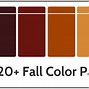 Image result for Color Combination Palette