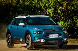 Image result for C4 Cactus