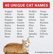 Image result for Odd Cat Names